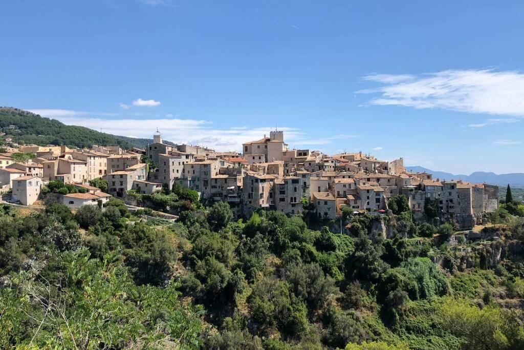 Appartement Au Calme Dans Un Espace Arbore Tourrettes-sur-Loup Bagian luar foto